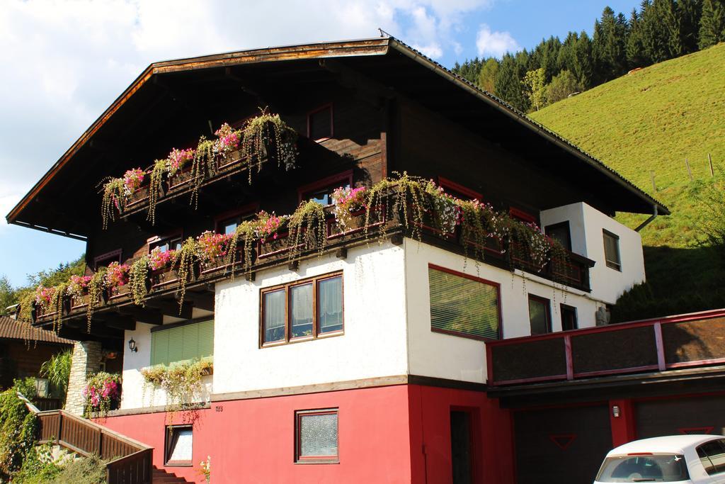 Apartment Seber Stuhlfelden Exterior foto